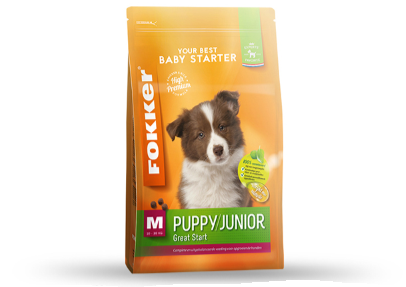 Puppy / Junior (M)